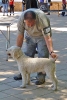 CONCURSO CHIRIVEL 2011