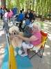 CONCURSO CHIRIVEL 2011