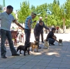 CONCURSO CHIRIVEL 2011