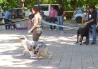CONCURSO CHIRIVEL 2011