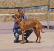 CONCURSO CHIRIVEL 2011