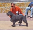 CONCURSO CHIRIVEL 2011