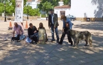 CONCURSO CHIRIVEL 2011