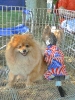 Concurso Nacional Canino de Atarfe Julio 2011