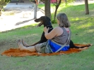 Concurso Nacional Canino de Atarfe Julio 2011