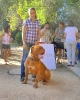 Concurso Nacional Canino de Atarfe Julio 2011