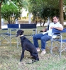 Concurso Nacional Canino de Atarfe Julio 2011