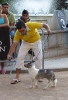 Concurso Nacional Canino de Atarfe Julio 2011