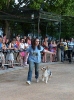 Concurso Nacional Canino de Atarfe Julio 2011
