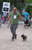Concurso Nacional Canino de Atarfe Julio 2011