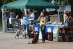 Concurso Nacional Canino de Atarfe Julio 2011