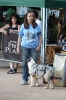 Concurso Nacional Canino de Atarfe Julio 2011