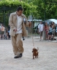 Concurso Nacional Canino de Atarfe Julio 2011