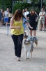 Concurso Nacional Canino de Atarfe Julio 2011