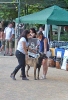 Concurso Nacional Canino de Atarfe Julio 2011