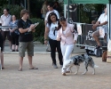 Concurso Nacional Canino de Atarfe Julio 2011