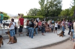 Concurso Nacional Canino de Atarfe Julio 2011