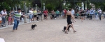 Concurso Nacional Canino de Atarfe Julio 2011