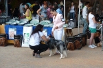Concurso Nacional Canino de Atarfe Julio 2011