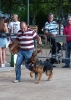 Concurso Nacional Canino de Atarfe Julio 2011