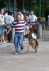Concurso Nacional Canino de Atarfe Julio 2011