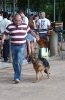 Concurso Nacional Canino de Atarfe Julio 2011