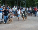 Concurso Nacional Canino de Atarfe Julio 2011