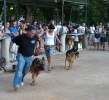 Concurso Nacional Canino de Atarfe Julio 2011