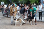 Concurso Nacional Canino de Atarfe Julio 2011