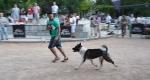Concurso Nacional Canino de Atarfe Julio 2011