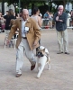 Concurso Nacional Canino de Atarfe Julio 2011