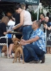 Concurso Nacional Canino de Atarfe Julio 2011