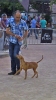 Concurso Nacional Canino de Atarfe Julio 2011