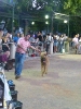 Concurso Nacional Canino de Atarfe Julio 2011