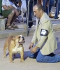 Concurso Nacional Canino de Atarfe Julio 2011