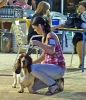 Concurso Nacional Canino de Atarfe Julio 2011