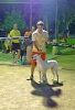 Concurso Nacional Canino de Atarfe Julio 2011