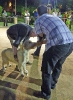 Concurso Nacional Canino de Atarfe Julio 2011