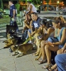 Concurso Nacional Canino de Atarfe Julio 2011