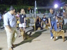 Concurso Nacional Canino de Atarfe Julio 2011