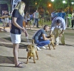 Concurso Nacional Canino de Atarfe Julio 2011