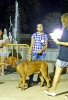 Concurso Nacional Canino de Atarfe Julio 2011