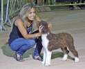 Concurso Nacional Canino de Atarfe Julio 2011