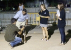 Concurso Nacional Canino de Atarfe Julio 2011
