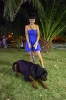Concurso Nacional Canino de Atarfe Julio 2011