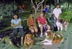 Concurso Nacional Canino de Atarfe Julio 2011