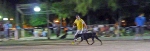 Concurso Nacional Canino de Atarfe Julio 2011