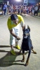 Concurso Nacional Canino de Atarfe Julio 2011