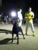 Concurso Nacional Canino de Atarfe Julio 2011