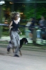 Concurso Nacional Canino de Atarfe Julio 2011